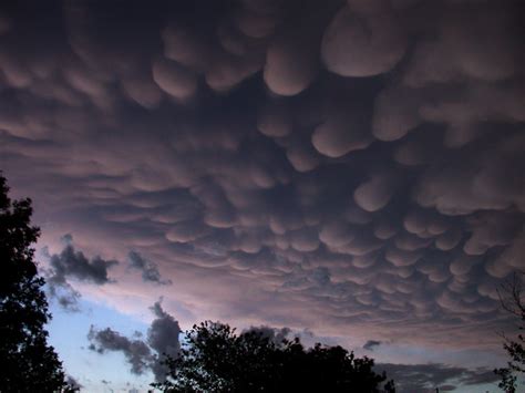 Cliff Mass Weather and Climate Blog: Adult Theme Blog --Mammatus Clouds