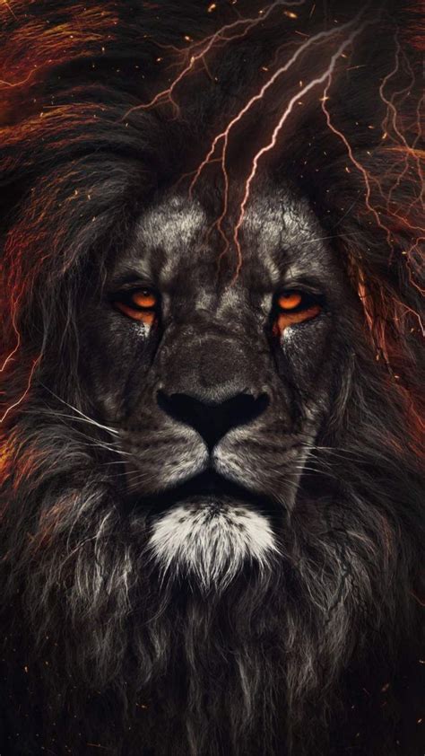 Lion King Eyes - iPhone Wallpapers : iPhone Wallpapers | Immagini leone, Sfondi, Animali selvaggi