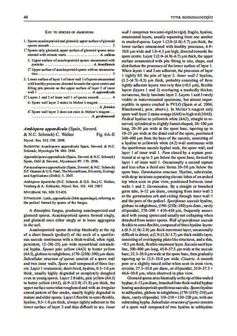 Glomeromycota-monograph / Glomeromycota-monograph-10.jpg