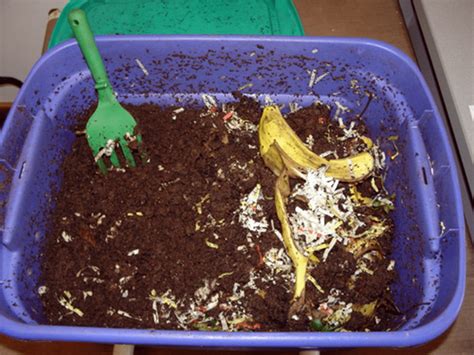 DIY Worm Composting Bin, Easy Steps - Green House Tutorial