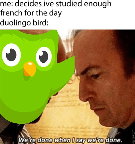 10 Hilarious Duolingo Memes That Give Vengeance A New Name