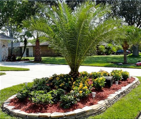 16 Palm Tree Landscaping Ideas Front Yard : Garden Design