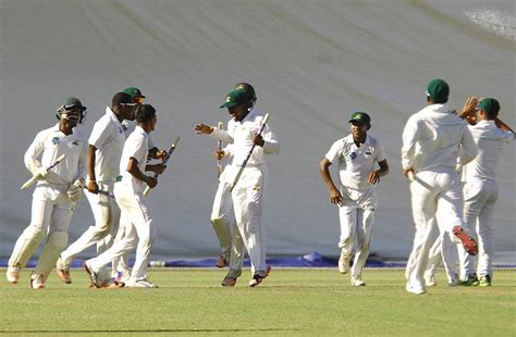 Guyana Harpy Eagles - new name for national cricket team - Guyana Chronicle