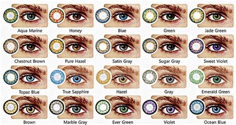 8 best eye color chart genetics images in 2020 eye color chart eye - genetic chart parents kids ...