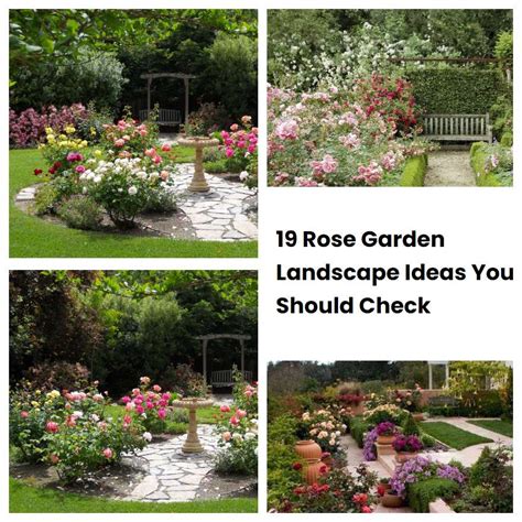 19 Rose Garden Landscape Ideas You Should Check | SharonSable