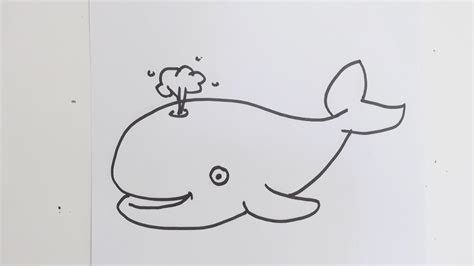 How to draw cute cartoon whale - YouTube