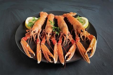 Norway Lobster Images | Free Vectors, Stock Photos & PSD