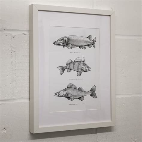 Fish Art Print