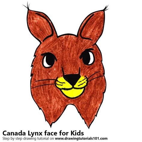 Learn How to Draw a Canada Lynx face for Kids (Animal Faces for Kids) Step by Step : Drawing ...