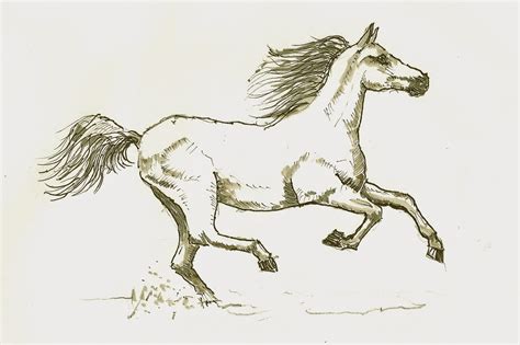 Galloping Horse Sketch ~ Galloping Horse By Kezzer922 On Deviantart ...