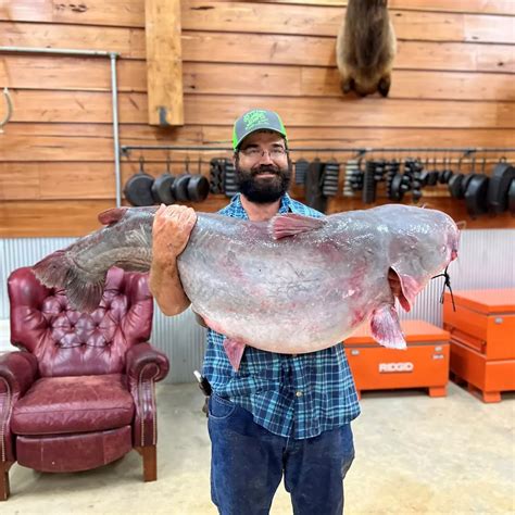 Man Catches 104-Pound Catfish in Mississippi River