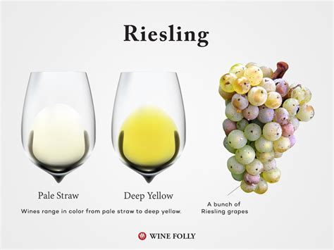 The Essential Guide to Riesling Wine | Wine Folly