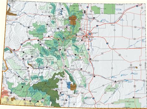 Rio Grande National Forest | Colorado National Lands