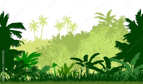 Jungle silhouette vector. Dense thickets and lush grass. Bright sunny day. Trees, shrubs and ...