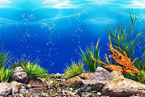 Aquarium Backgrounds