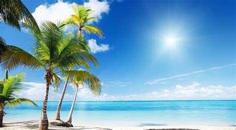 Tropical beach paradise, shore, seashore, summer, nature, tropical, landscape, HD wallpaper | Peakpx