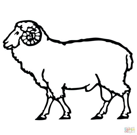 Sheep Face Drawing at GetDrawings | Free download