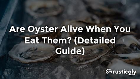 Are Oyster Alive When You Eat Them? (Answer Inside!)