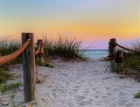 Why Should You Visit Turtle Beach on Siesta Key on Your Trip | Peppertree Bay