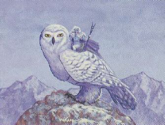 Giant owl | Forgotten Realms Wiki | Fandom