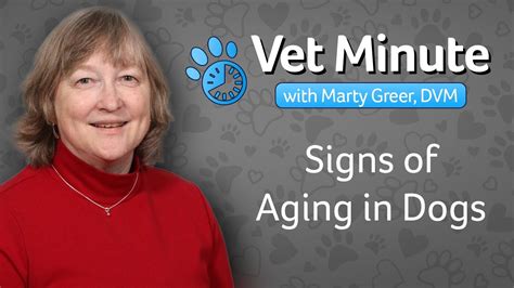 Signs of an Aging Dog - YouTube