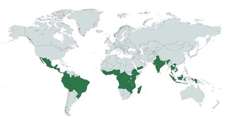 Guide to Coffee Regions of the World - Jaunt Coffee Roasters