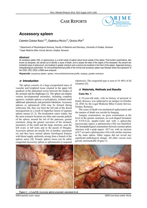 (PDF) Accessory spleen