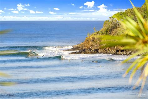 NOOSA NATIONAL PARK 1 - Paul Smith Images