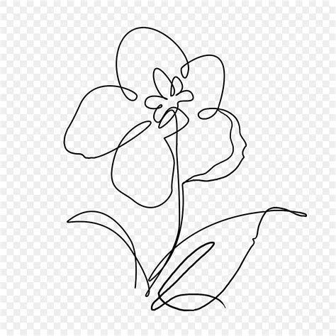 Jasmine Flower Outline Abstract Line Drawing, Flower Drawing, Wing Drawing, Outline Drawing PNG ...