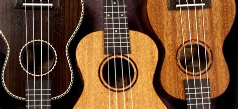 6 Best Bass Ukuleles Reviewed in Detail [Nov. 2024]