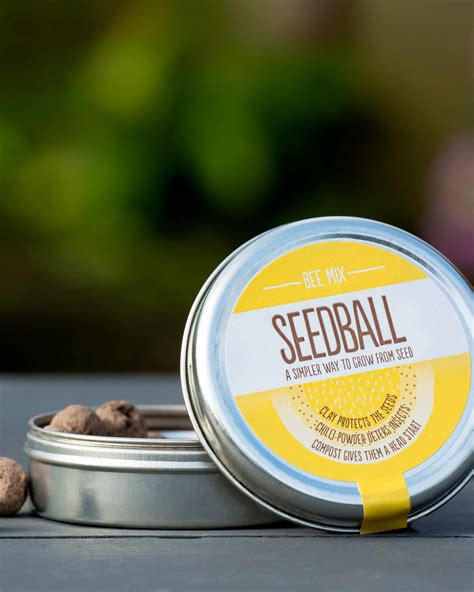 Yellow | Bee Seedball | WoolOvers UK