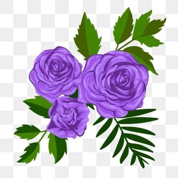 Purple Rose PNG Transparent Images Free Download | Vector Files | Pngtree