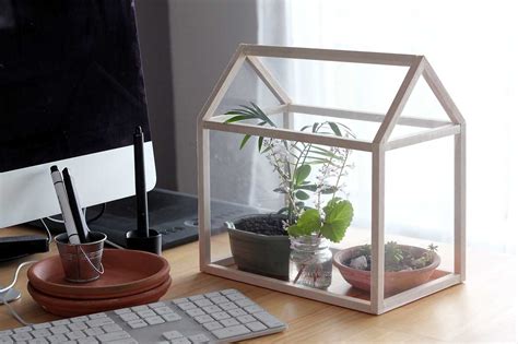 How to make a Mini Greenhouse - Dossier Blog