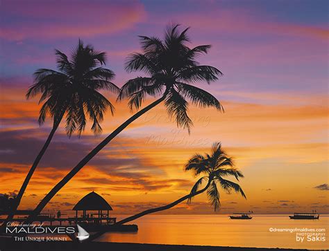 Maldives Sunsets in 30 photos | Gallery by Dreaming of Maldives