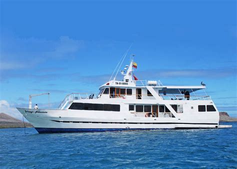 Why You Should Take A Galapagos Cruise