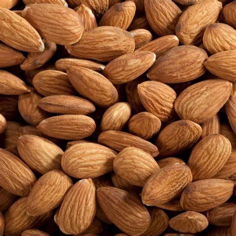 Almond Seed - Wholesale Price & Mandi Rate for Almond Seed in India