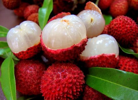 Lychee Fruit Health Benefits | 1 Small Powerful Super Fruit | Lychee ...