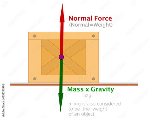 Gravity Force Diagram