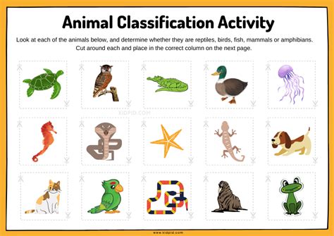 Animal Classification Sorting Worksheet - Kidpid