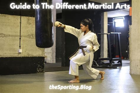 The Ultimate Guide to Different Types of Martial Arts and Their Origins — The Sporting Blog