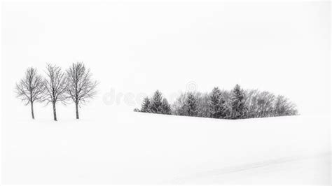 Winter landscape, Germany stock image. Image of tree - 109558227