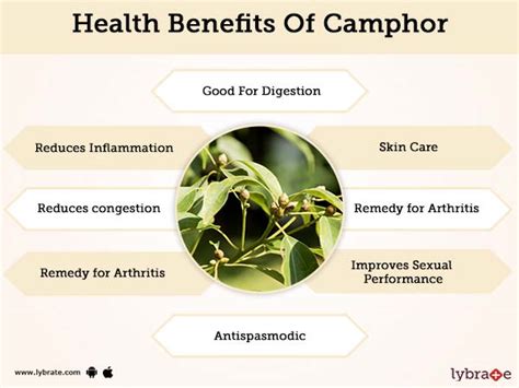 Benefits of Camphor And Its Side Effects | Lybrate