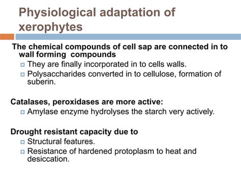 Xerophytes | PPT