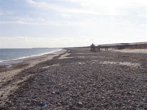 Morning Dew: Duxbury Beach and Marshfield Beach