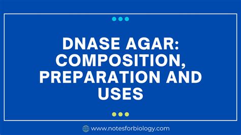 Cetrimide agar: composition, preparation and uses - Best...