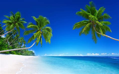 Tropical Beaches Desktop Wallpapers - Top Free Tropical Beaches Desktop Backgrounds ...