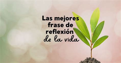 Las mejores 95 frases de la vida para reflexionar - Pensador