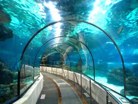 Barcelona Aquarium (L'Aquàrium Barcelona), Barcelona | Tickets & Tours - 2024