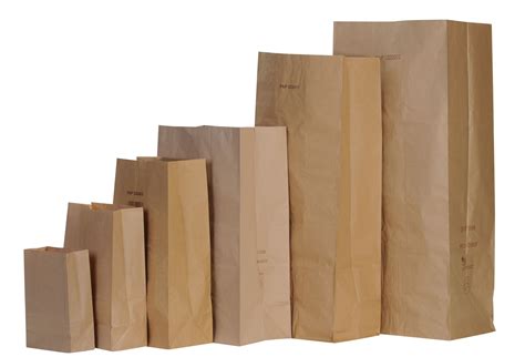 Sac papier biodégradable 80 litres