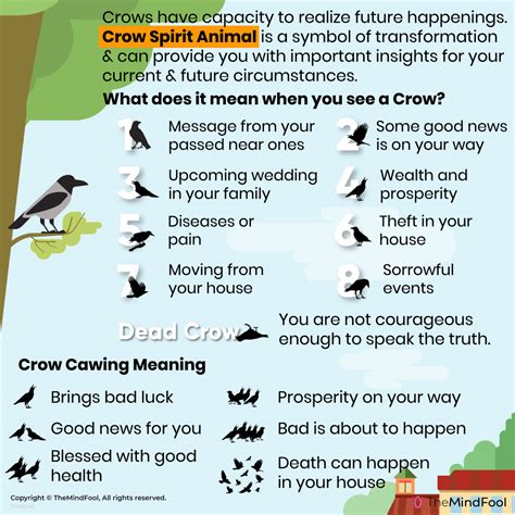 Crow Meaning | Crow Symbolism | Crow Spiritual Meaning